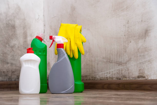 Professional Mold Removal in Templeton, CA